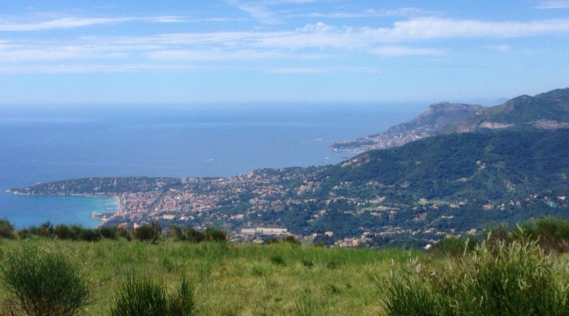 Permalien de l'image intégrée