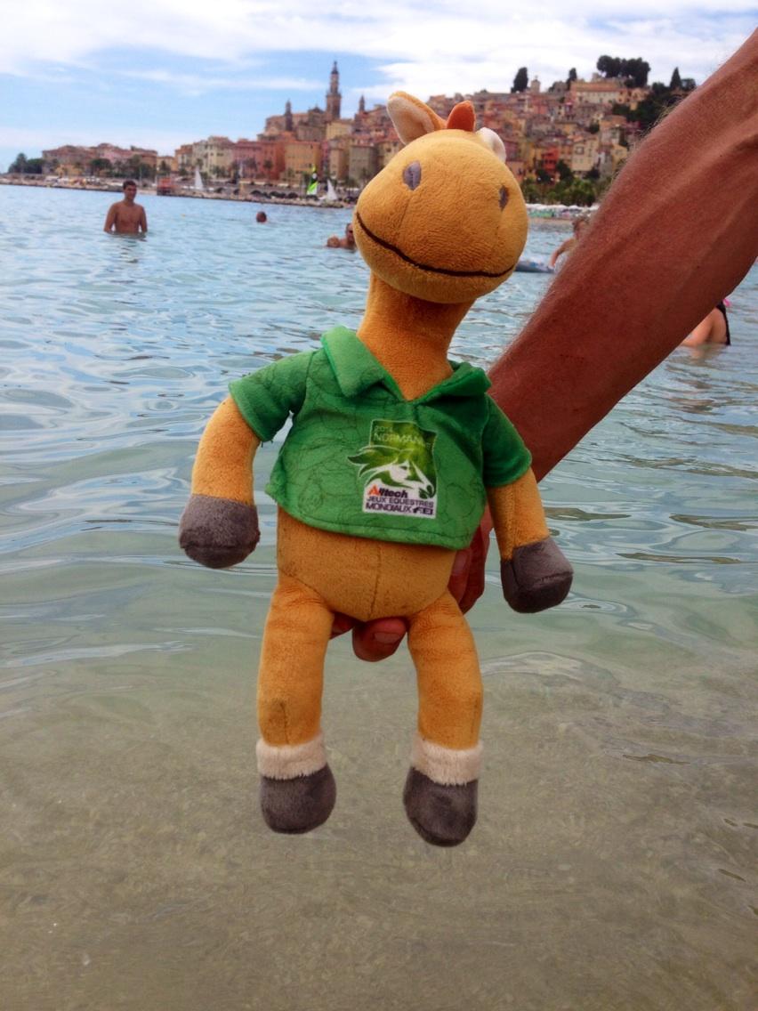 Permalien de l'image intégrée