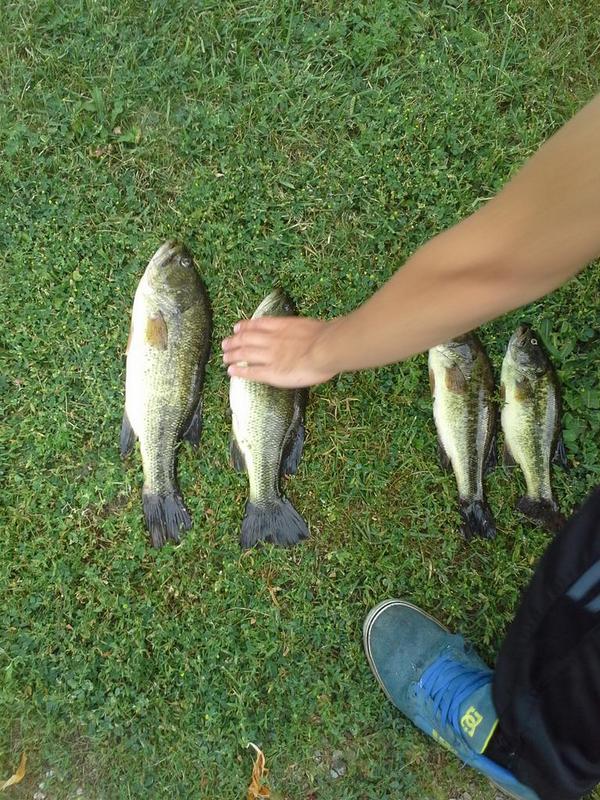 21cbeck's tweet photo. Went fiching at 4 and six fish wow http://t.co/WSvHIOVz7m