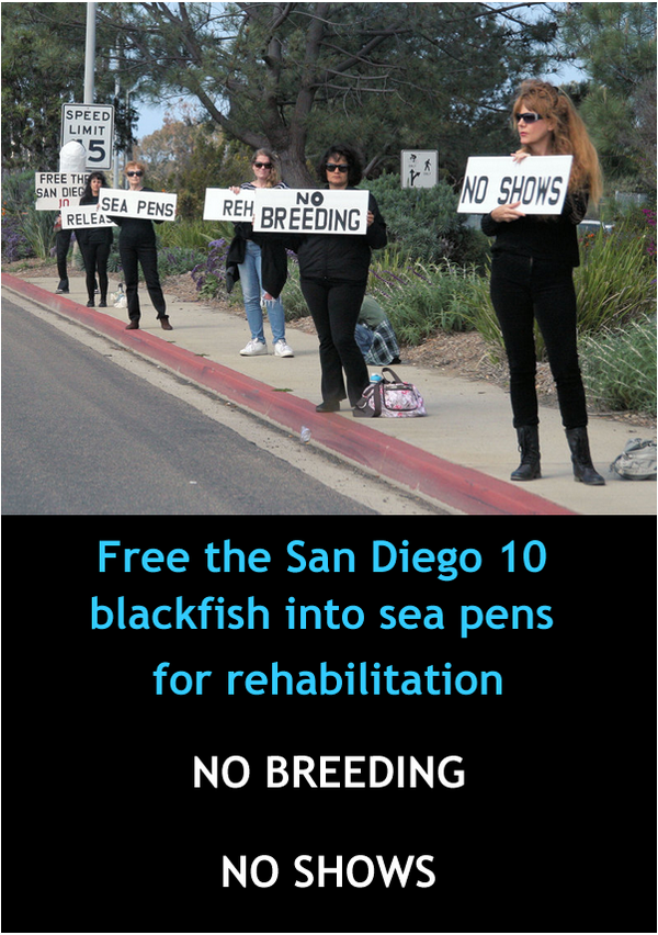 OrcaSOS's tweet photo. http://t.co/oLrmE9uEoT
Add your voice to 1.22M sigs 
California: Enact 
#Blackfish #AB2140
Orca Welfare &amp; Safety Act→
http://t.co/tvOUdOL6Yh