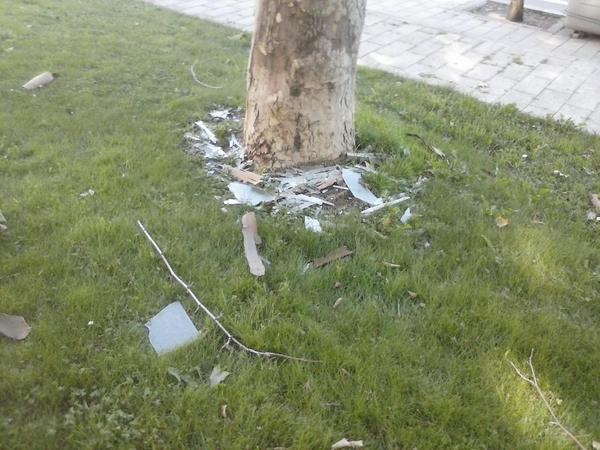 j_jg57's tweet photo. esos cristales llevan 3 sem ahi. y despues kieren k recoja los desechos del perro, es una verguenza http://t.co/qpuH1PgFVo