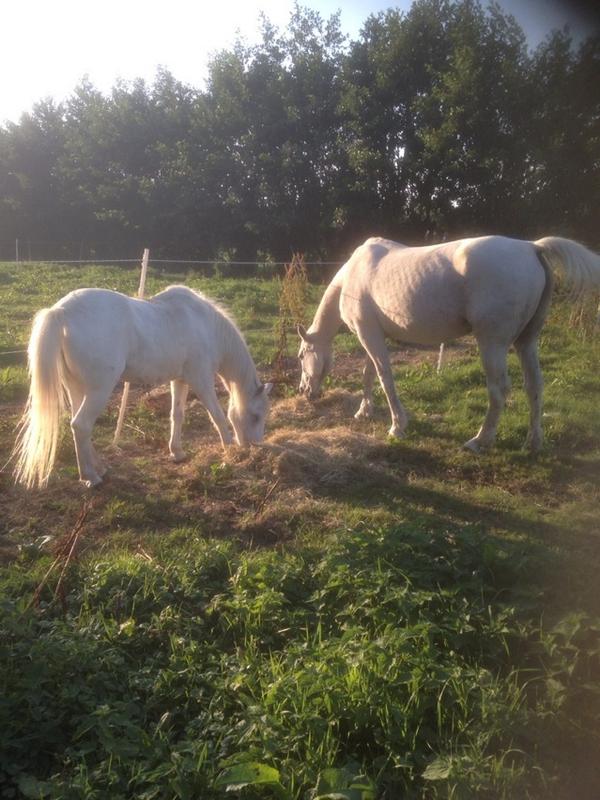 Bron: StalSprenkeling 