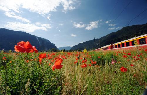 Svizzera Turismo tweet media