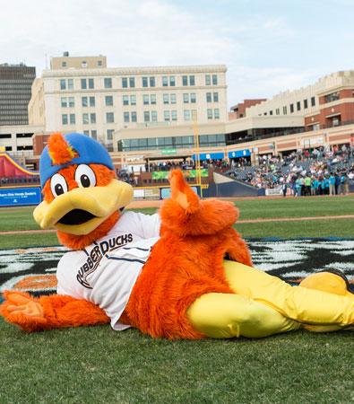 Minor League Baseball tweet media