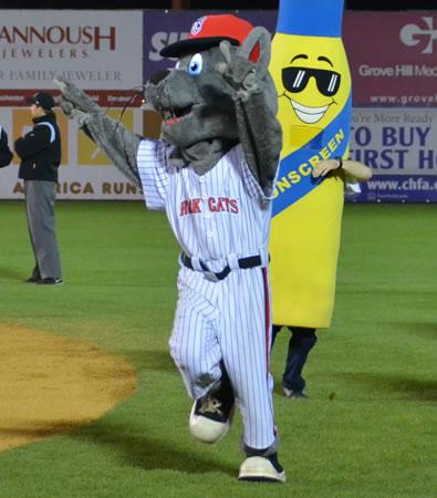 @RockCats’ <a href="/OfficialRocky9/">Rocky</a> is the best EL mascot in <a href="/MiLB/">Minor League Baseball</a> #MascotMania. atmilb.com/1kDOd2o #VoteOfficialRocky9