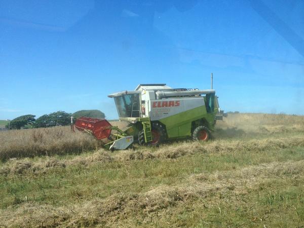 Combining the oil seed on the farm today #harvest2014 #abouttime