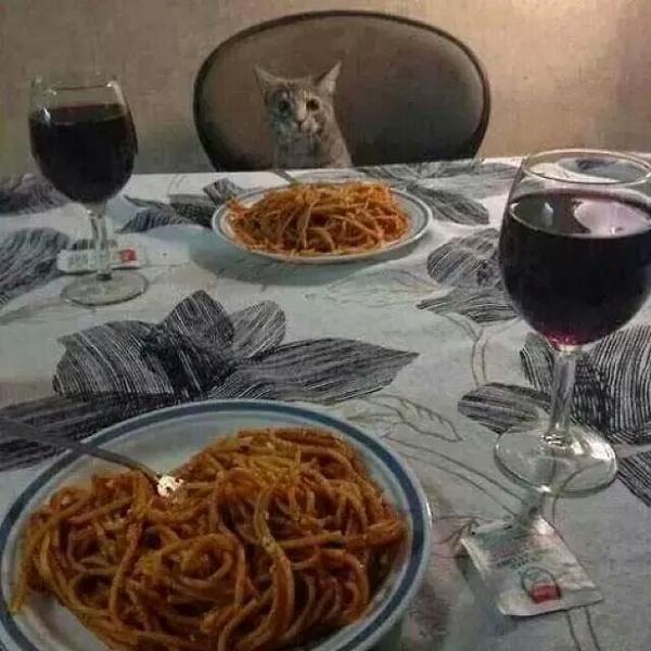 LeozaoDj's tweet photo. Almoçando com a gata tomando aquele vinho e comendo aquela macarronada 😍👏 http://t.co/KHCDbJx6rC