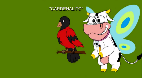 globovision's tweet photo. #EnVideo Conozca al Cardenalito, pájaro nativo de Venezuela en Contesta por Tío Simón http://t.co/rFnouYA3lR http://t.co/nwYMMTE05P