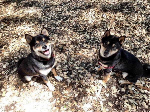 Max Teitelbaum tweet media