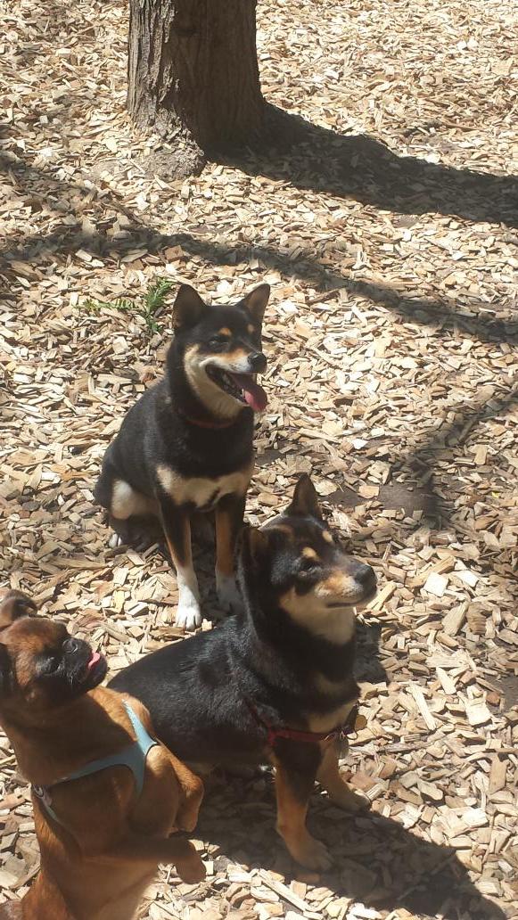 Max Teitelbaum tweet media