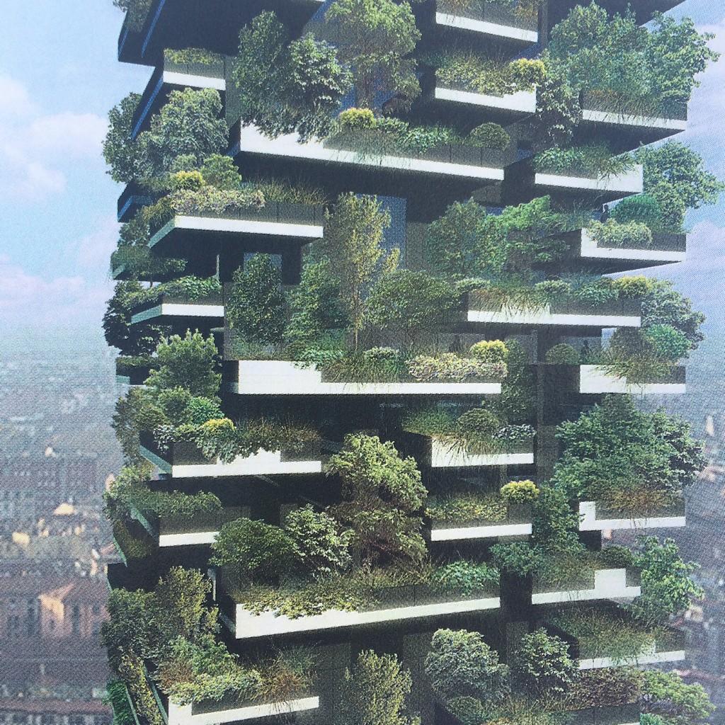 Tanya Brennand-Roper on Twitter: 