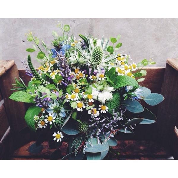 ¡Como recién recogido del campo! #ramosilvestre #lavanda #cardos #nigella #romero #menta #manzanilla #thlaspi #ra...