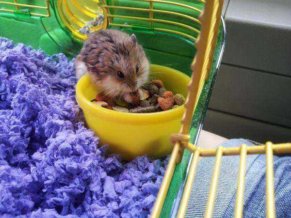 whitewolves58's tweet image. I&apos;m coming back for you.. my precious. 0-0