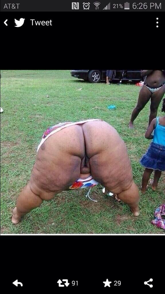 parente_anthony's tweet photo. @kassimmasad @hammad_isa  this is what he wifed up http://t.co/hugMND9WxA