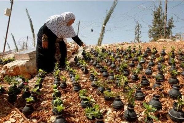 YasminMogahed's tweet photo. Palestinian woman plants flowers in empty tear gas canisters.Could learn 1000 lessons from this image
#freepalestine http://t.co/ElvloN94b7