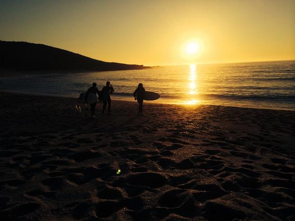 Rocío Serrano Martín tweet media