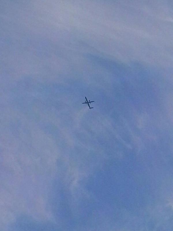 MsVPhelan's tweet image. Even better out in back garden! #Headphones @1Xtra xxx Pure #MusicalHealing xxx