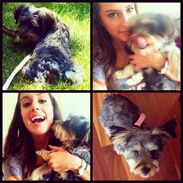 angelaciosek's tweet photo. Who needs a pup when you steal your neighbors on a regular basis?😍🐶 #LittleEmme #BestFriends #ThoseEarsTho http://t.co/LjV0LxiMWl