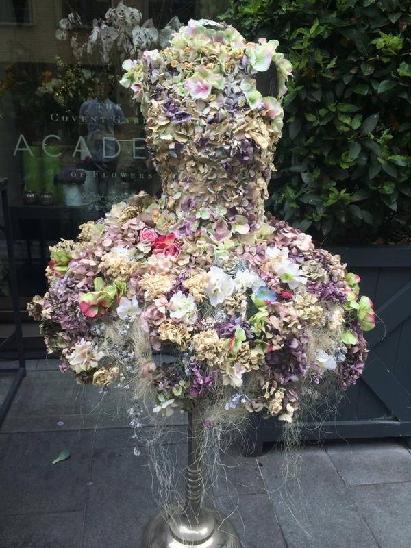 flobouquets's tweet photo. Spotted outside @academyflowers. So lush words can't describe. http://t.co/W1X1dvkdbh