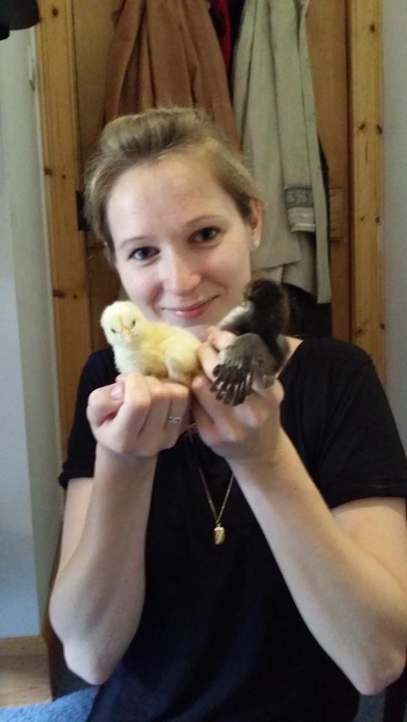 mountainearband's tweet photo. Louise from @mountainearband is tweeting from the Scottish Highlands @bluebellcroft http://t.co/SCwvebQsS3