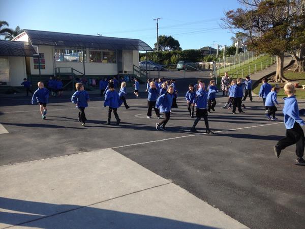 Torbay5&6 tweet media