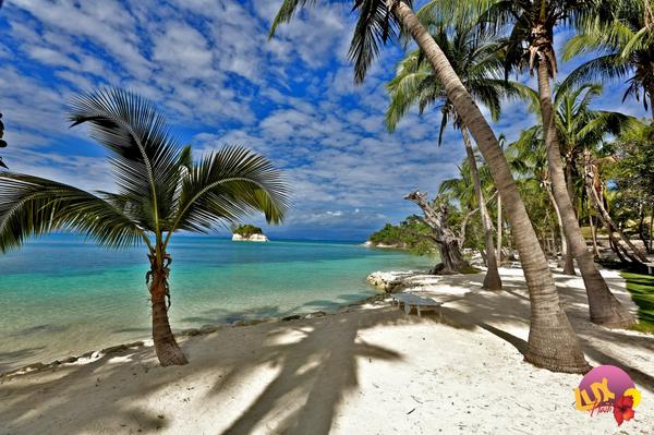 hotelportmorgan's tweet image. @JaredEvan A little corner of paradise. Un petit coin de paradis #ileavache #hotelportmorgan #jaredevan