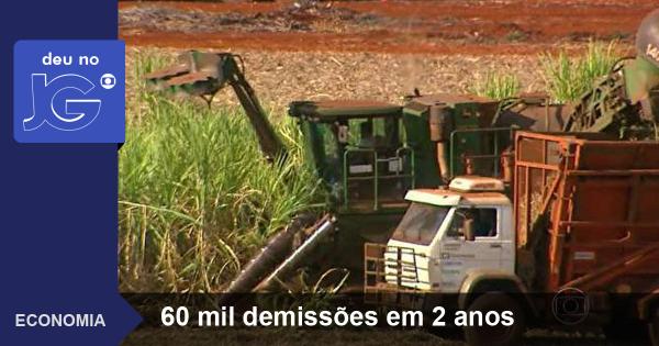 JornalDaGlobo's tweet photo. Crise no setor sucroalcooleiro.Veja na reportagem de @jcborda10,@cacyonegomes e @faezarezende: http://t.co/NeYLboq3eT http://t.co/1liq8YrnSM