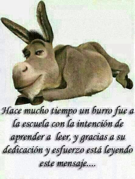 herlinda barragan tweet media