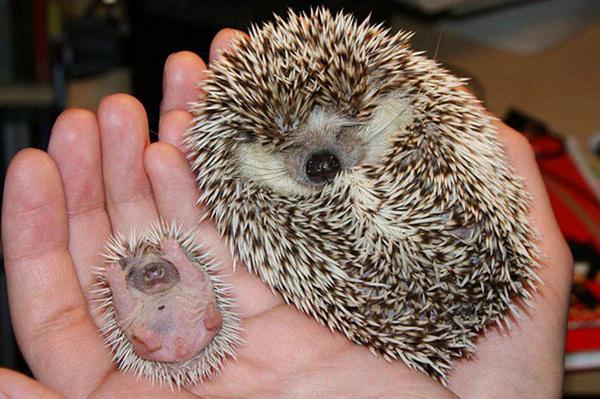 zwgman's tweet photo. G'Night, Tweeps: http://t.co/RR5A1fLUzz