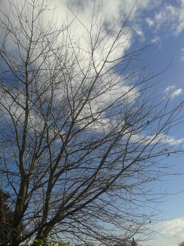 amesnrob's tweet image. Beautiful day in #tauponewzealand heres to great day of suprise from life