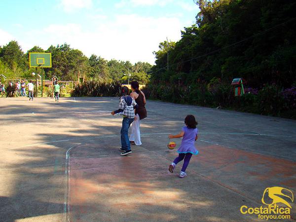 CostaRicaForYou's tweet photo. Monte de la Cruz, you can get relax in this mountain #forest. http://t.co/0y5A8j8gb9 #CostaRica #CRC #Relax http://t.co/o5FfYFTDsA