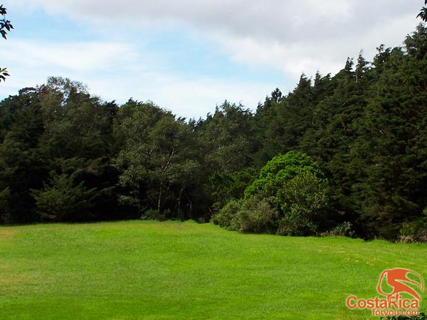 CostaRicaForYou's tweet photo. Monte de la Cruz, you can get relax in this mountain #forest. http://t.co/0y5A8j8gb9 #CostaRica #CRC #Relax http://t.co/o5FfYFTDsA