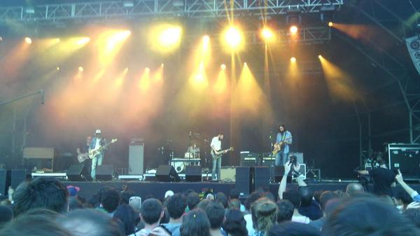 Band of horses
