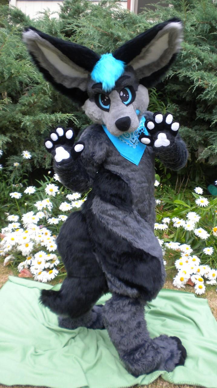 Embedded image permalink