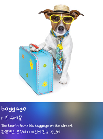 askedge's tweet image. &amp;lt;오늘의 영단어&amp;gt;
- baggage: 짐, 수하물
The tourist found his baggage at the airport.
관광객은 공항에서 자신의 짐을 찾았다.