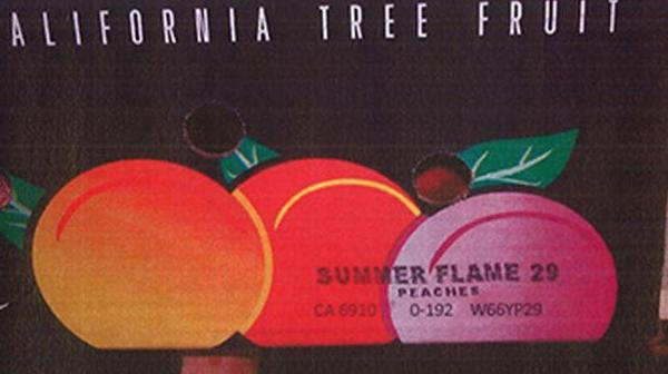 NBCLA's tweet photo. Stone fruit sold at at Trader Joe's and Costco recalled over listeria concerns http://t.co/qWmbpUGoVk http://t.co/BBPSDOEoiA