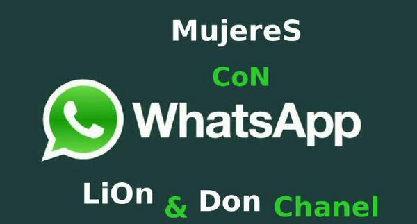 LionHz's tweet photo. Pa la calle a rompe! Lion &amp; Don Chanel! #mujeresconWhatssap http://t.co/SDVSp3grAf