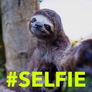 Colouredtweets's tweet photo. Coloureds be like #MorningSelfie #colouredmoments http://t.co/3MrpT8M2Sk