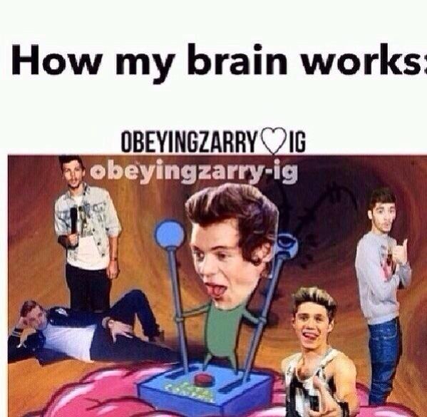 mooonwe's tweet photo. Как работают мои мозги:
#HappyBDayOneDirection #4YearsOf1D #4YearsOfOneDirection http://t.co/NMQjD7ases