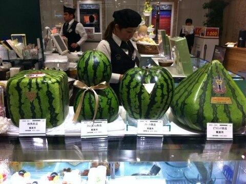 Kuliner_Bandung's tweet photo. Di Jepang, kamu bisa membeli semangka dgn berbagai macam bentuk diantaranya kubus, labu botol, hati dan piramid http://t.co/vElxFTzObN