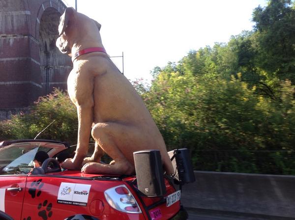 Tour de Bobby. Zit #tourdefrance