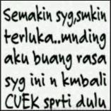 _lenima tweet picture