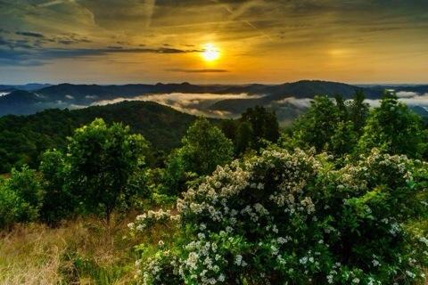BluegrassScenes's tweet photo. The beauty of eastern Kentucky, by @Phil_JKD, via @RealAppalachia #Kentucky #photography http://t.co/SraWnWnbts