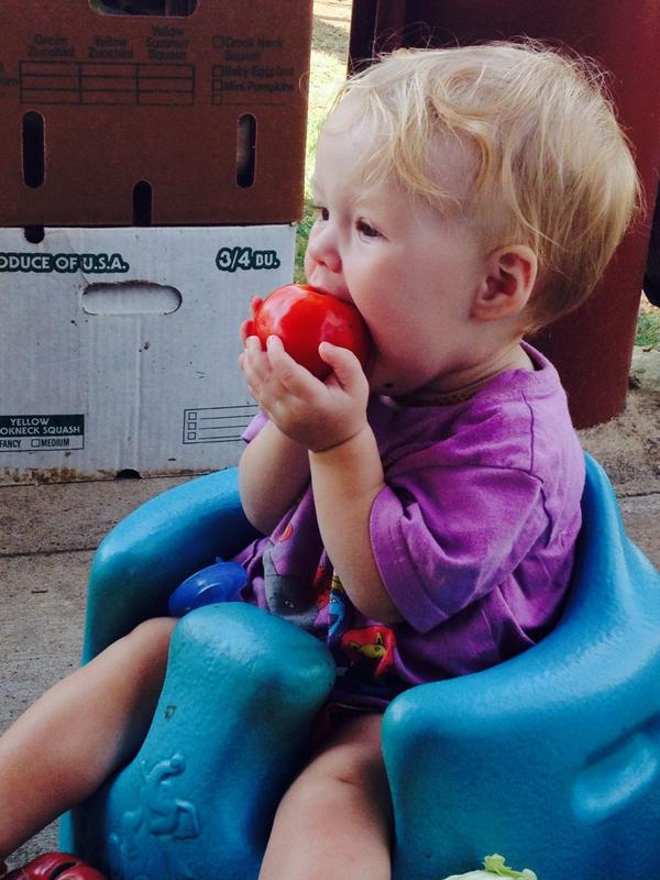 CastlemaineFarm's tweet photo. Qqqwwwqk#mwQ eg http://t.co/F0xs5cg8bS
