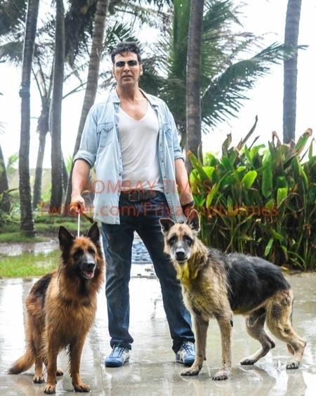 Pic 2: Akshay Kumar sir with his dogs Okie & Cleo