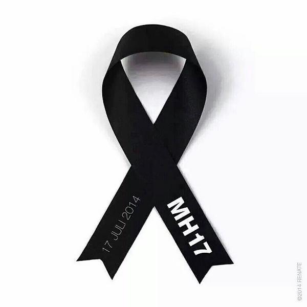 tiesto's tweet photo. My thoughts are with all the victims of flight #MH17 #dayofmourning http://t.co/pV3EmoXs88