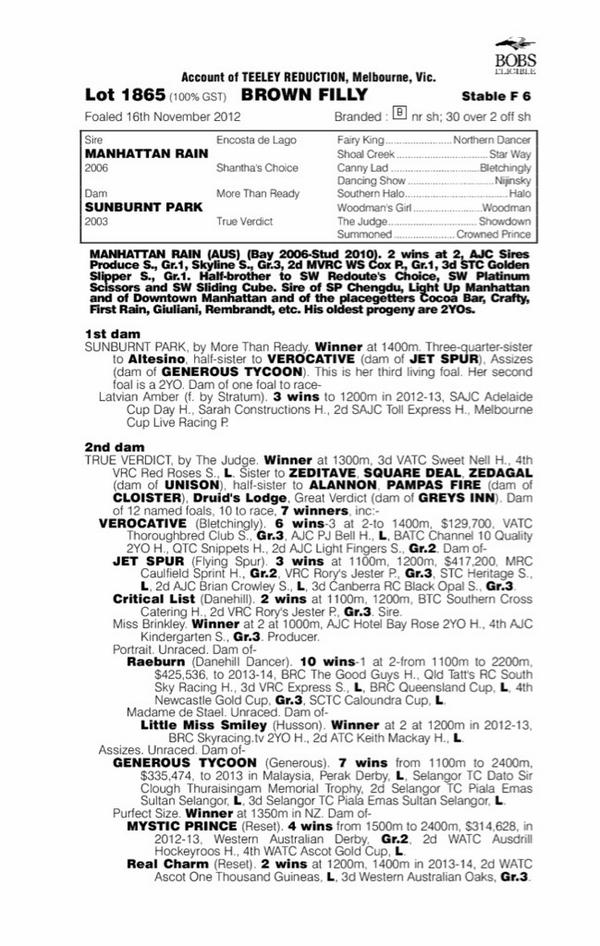 RedLetterRacing's tweet image. Pedigree page of our filly with shares still available! #value #blacktypefamily #zeditave redletterracing.com.au