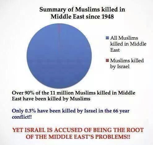 mikesfeeling's tweet photo. SINCE 1948
11 MILLIONS MUSLIMS KILLED IN MIDDLE EAST
90% KILLED BY MUSLIMS
0,3% KILLED BY ISRAEL
#stopislamgenocide http://t.co/hRYF3X6wDs