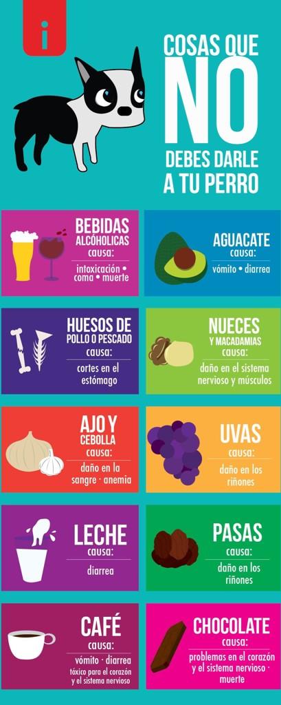 DankroftK9's tweet photo. Lo que NO debes darle a tu perro. #dankrofttips #consejoscaninos #saludcanina http://t.co/yctDWO76gX