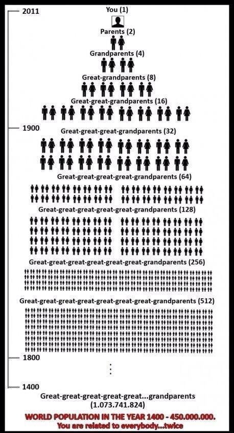 LifeHacksInPics's tweet photo. Your family tree http://t.co/9VTFyfGFM5